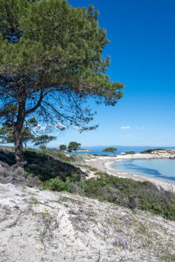 Karydi Sahili yakınlarındaki Sithonia kıyı şeridi, Chalkidiki, Orta Makedonya, Yunanistan