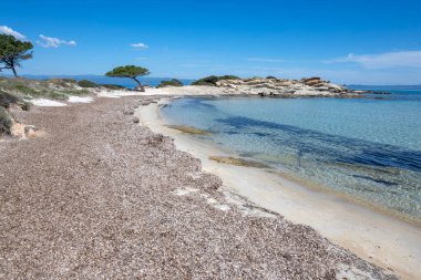 Karydi Sahili yakınlarındaki Sithonia kıyı şeridi, Chalkidiki, Orta Makedonya, Yunanistan