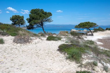 Karydi Sahili yakınlarındaki Sithonia kıyı şeridi, Chalkidiki, Orta Makedonya, Yunanistan