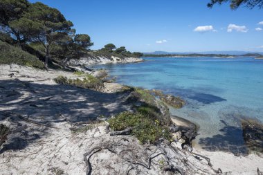 Karydi Sahili yakınlarındaki Sithonia kıyı şeridi, Chalkidiki, Orta Makedonya, Yunanistan
