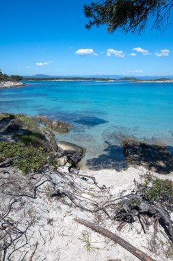 Karydi Sahili yakınlarındaki Sithonia kıyı şeridi, Chalkidiki, Orta Makedonya, Yunanistan