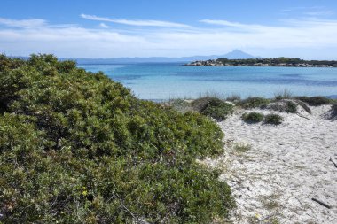 Karydi Sahili yakınlarındaki Sithonia kıyı şeridi, Chalkidiki, Orta Makedonya, Yunanistan