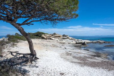 Karydi Sahili yakınlarındaki Sithonia kıyı şeridi, Chalkidiki, Orta Makedonya, Yunanistan