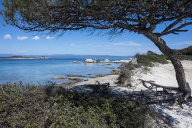 Karydi Sahili yakınlarındaki Sithonia kıyı şeridi, Chalkidiki, Orta Makedonya, Yunanistan
