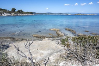 Karydi Sahili yakınlarındaki Sithonia kıyı şeridi, Chalkidiki, Orta Makedonya, Yunanistan