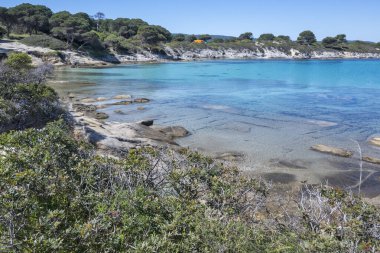 Karydi Sahili yakınlarındaki Sithonia kıyı şeridi, Chalkidiki, Orta Makedonya, Yunanistan