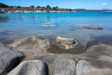 Karydi Sahili yakınlarındaki Sithonia kıyı şeridi, Chalkidiki, Orta Makedonya, Yunanistan