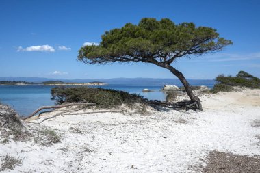 Karydi Sahili yakınlarındaki Sithonia kıyı şeridi, Chalkidiki, Orta Makedonya, Yunanistan