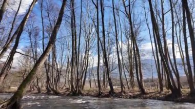 Bulgaristan 'ın Blagoevgrad bölgesindeki Petrich Vadisi' nden geçen Strumeshnitsa Nehri