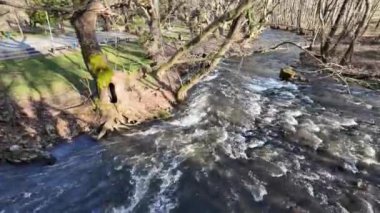 Bulgaristan 'ın Blagoevgrad bölgesindeki Petrich Vadisi' nden geçen Strumeshnitsa Nehri