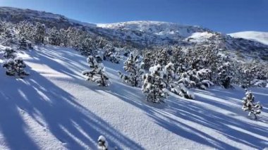 Bulgaristan 'ın Musala zirvesi yakınlarındaki Rila Dağı' nın şaşırtıcı kış manzarası