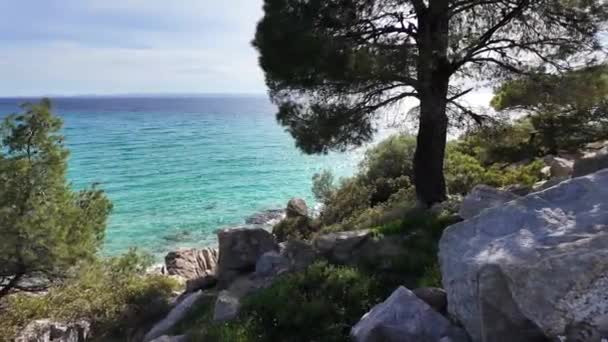 Koviou Sahili Yakınlarındaki Sithonia Kıyı Şeridi Chalkidiki Orta Makedonya Yunanistan — Stok video