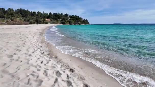 Koviou Sahili Yakınlarındaki Sithonia Kıyı Şeridi Chalkidiki Orta Makedonya Yunanistan — Stok video