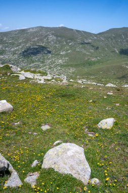 Bulgaristan 'ın Kalin tepeleri yakınlarındaki Rila Dağı' nın İnanılmaz Yaz Manzarası