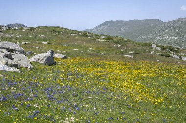 Bulgaristan 'ın Kalin tepeleri yakınlarındaki Rila Dağı' nın İnanılmaz Yaz Manzarası