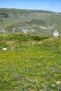 Bulgaristan 'ın Kalin tepeleri yakınlarındaki Rila Dağı' nın İnanılmaz Yaz Manzarası