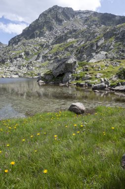 Bulgaristan 'ın Kalin tepeleri yakınlarındaki Rila Dağı' nın İnanılmaz Yaz Manzarası