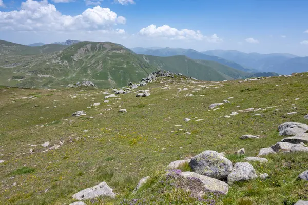 Удивительный Летний Ландшафт Горы Рила Возле Калинского Гороха Болгария — стоковое фото