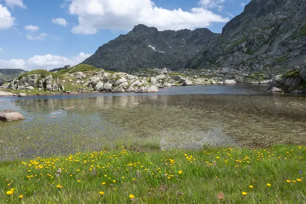 Fantastiskt Sommarlandskap Rila Mountain Nära Kalin Toppar Bulgarien — Stockfoto