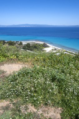 Kassandra 'nın Afitos, Chalkidiki, Orta Makedonya ve Yunanistan yakınlarındaki sahil şeridi inanılmaz bir manzara.