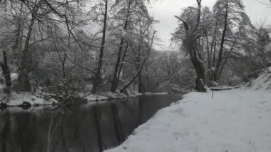 Bulgaristan 'ın başkenti Sofya' daki Pancharevo Gölü yakınlarındaki Iskar nehrinin kış manzarası