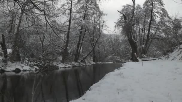 Χειμερινή Άποψη Του Ποταμού Iskar Κοντά Στη Λίμνη Pancharevo Περιοχή — Αρχείο Βίντεο
