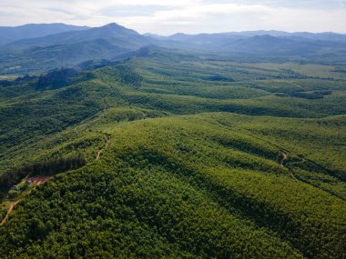 Belogradchik Kayalıkları, Vidin Bölgesi, Bulgaristan 'ın hava manzarası