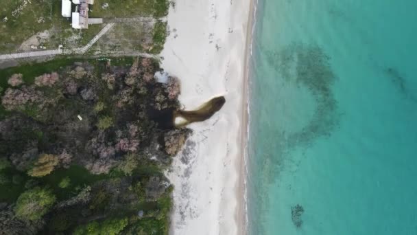 Pemandangan Yang Menakjubkan Dari Garis Pantai Sithonia Dekat Pantai Koviou — Stok Video