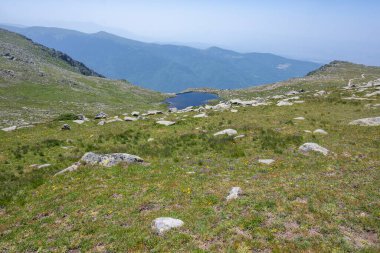 Amazing Summer Landscape of Rila Mountain near Kalin peak, Bulgaria clipart