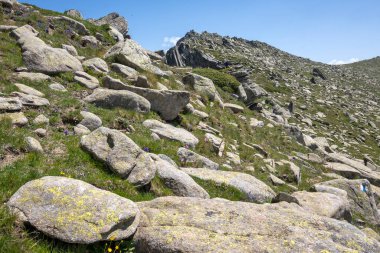 Bulgaristan 'ın Kalin zirvesi yakınlarındaki Rila Dağı' nın İnanılmaz Yaz Manzarası