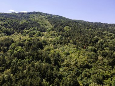 Bulgaristan 'ın Filibe Bölgesi Asenovgrad kenti yakınlarındaki Rodop Dağları' nın Havadan Bahar manzarası