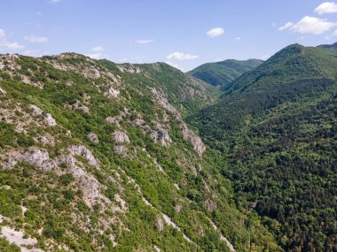 Bulgaristan 'ın Filibe Bölgesi Asenovgrad kenti yakınlarındaki Rodop Dağları' nın Havadan Bahar manzarası