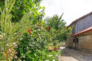 Tarihi Ampelakia Köyü, Larissa, Teselya, Yunanistan