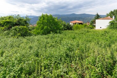 Tarihi Ampelakia Köyü, Larissa, Teselya, Yunanistan