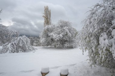 Bulgaristan 'ın Sofya kentindeki South Park' ın şaşırtıcı kış manzarası