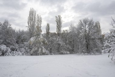 Bulgaristan 'ın Sofya kentindeki South Park' ın şaşırtıcı kış manzarası