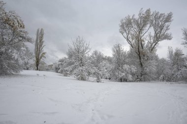 Bulgaristan 'ın Sofya kentindeki South Park' ın şaşırtıcı kış manzarası