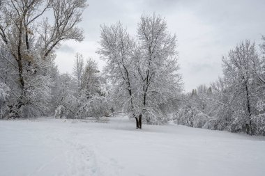 Bulgaristan 'ın Sofya kentindeki South Park' ın şaşırtıcı kış manzarası