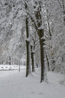 Bulgaristan 'ın Sofya kentindeki South Park' ın şaşırtıcı kış manzarası