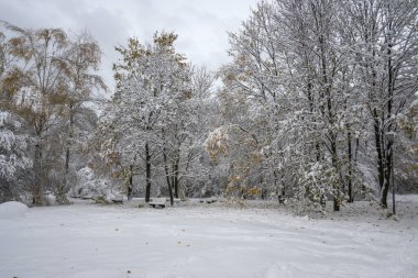 Bulgaristan 'ın Sofya kentindeki South Park' ın şaşırtıcı kış manzarası