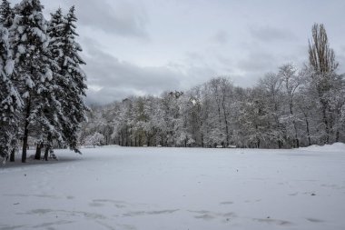 Bulgaristan 'ın Sofya kentindeki South Park' ın şaşırtıcı kış manzarası