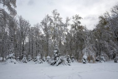 Bulgaristan 'ın Sofya kentindeki South Park' ın şaşırtıcı kış manzarası