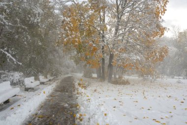 Bulgaristan 'ın Sofya kentindeki South Park' ın şaşırtıcı kış manzarası