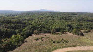 Bulgaristan 'ın Burgaz Bölgesi Sinemorets köyü yakınlarındaki Karadeniz kıyılarının hava manzarası