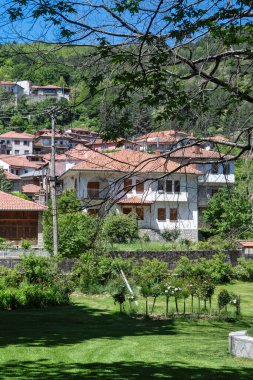 Yunanistan 'ın Epirus Bölgesi' nin Ioannina kenti yakınlarındaki Metsovo köyünün yaylı manzarası