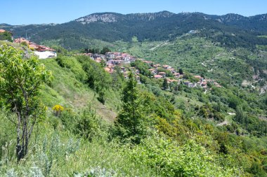 Yunanistan 'ın Epirus Bölgesi' nin Ioannina kenti yakınlarındaki Metsovo köyünün yaylı manzarası