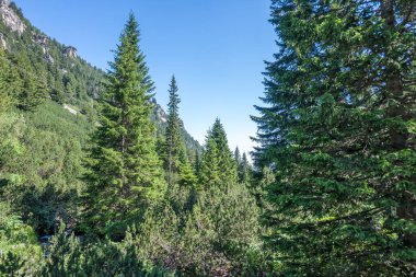 Amazing Summer landscape of Rila Mountain near Malyovitsa peak, Bulgaria