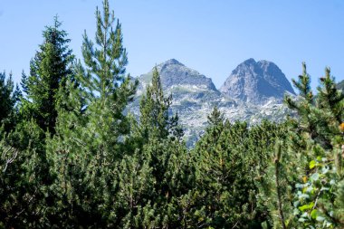 Amazing Summer landscape of Rila Mountain near Malyovitsa peak, Bulgaria