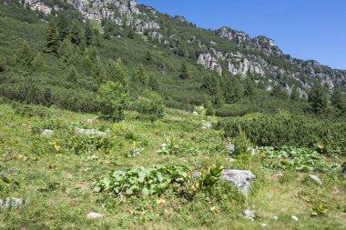 Amazing Summer landscape of Rila Mountain near Malyovitsa peak, Bulgaria