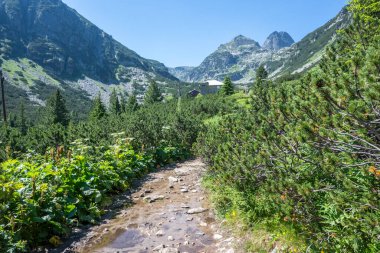 Amazing Summer landscape of Rila Mountain near Malyovitsa peak, Bulgaria